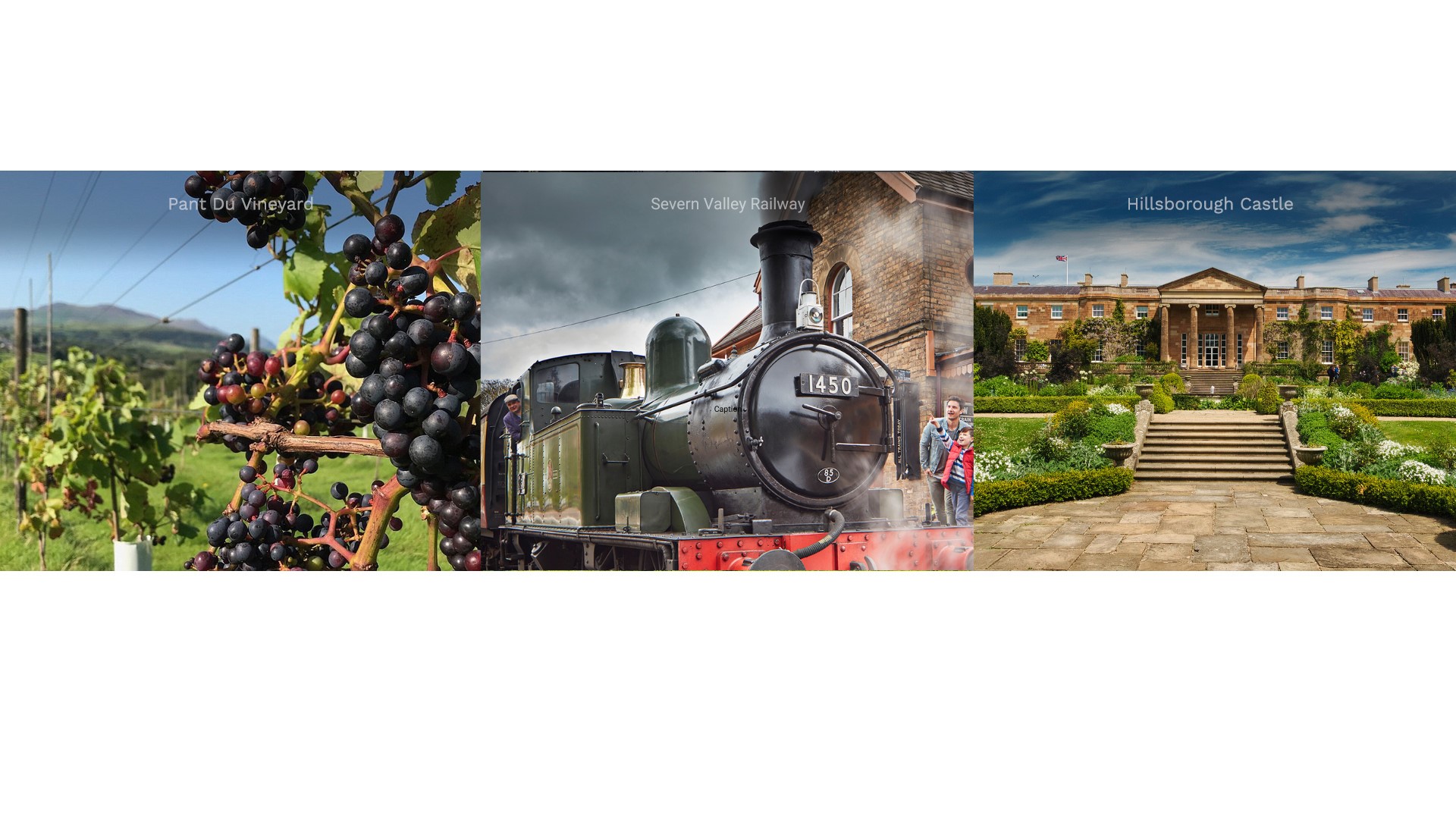Vineyard Steam train Hillborough House